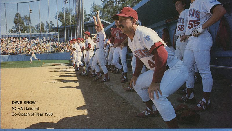A photo of LMU baseball players.