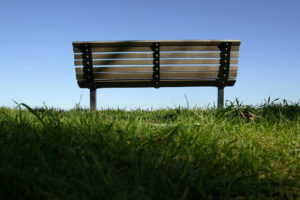 A bench on a summer afternoon at LMU.